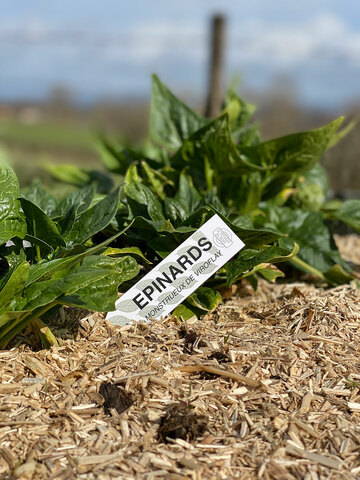 Stickers Étiquettes Signalétiques Stickers Étiquettes Signalétiques